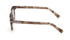 Zegna EZ0285 Light Brown Gradient/Brown #colour_light-brown-gradient-brown