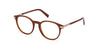 #colour_shiny-dark-brown