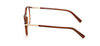 #colour_shiny-dark-brown