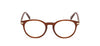 #colour_shiny-dark-brown