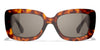 #colour_dark-tortoise-polarised-brown