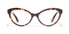 #colour_dark-tortoise