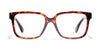 #colour_tortoise