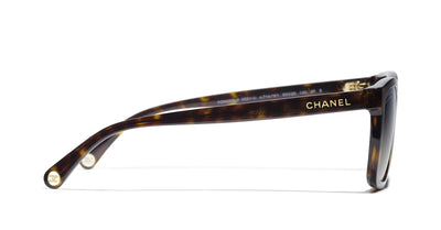 #colour_dark-havana-brown-gradient-polarised