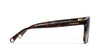 #colour_dark-havana-brown-gradient-polarised