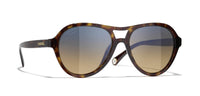 #colour_dark-havana-brown-gradient-polarised