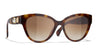 #colour_dark-tortoise-brown-gradient