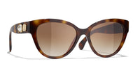 #colour_dark-tortoise-brown-gradient