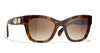 #colour_dark-tortoise-brown-gradient