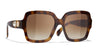 #colour_dark-tortoise-brown-gradient