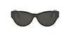 #colour_shiny-black