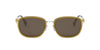 #colour_shiny-yellow-silver