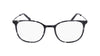 #colour_shiny-grey-tortoise