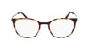 #colour_matte-tokyo-tortoise