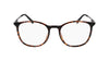 #colour_shiny-dark-tortoise
