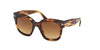 #colour_coloured-havana-brown-gradient