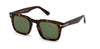 #colour_dark-tortoise-green