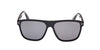 #colour_shiny-black-smoke-polarized