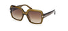 #colour_mastic-brown-gradient