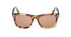 #colour_coloured-havana-brown