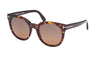 #colour_dark-havana-brown-polarised