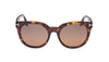 #colour_dark-havana-brown-polarised