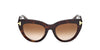 #colour_dark-havana-brown-gradient