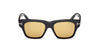 #colour_shiny-black-brown