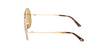 #colour_shiny-deep-gold-brown