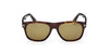 #colour_dark-havana-green-polarised