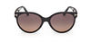 #colour_Shiny-Black-Bordeaux-Gradient
