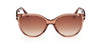 #colour_Shiny-Light-Brown/Brown-Gradient