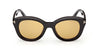 #colour_shiny-black-brown