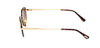 #colour_shiny-deep-gold-brown-gradient