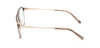 #colour_shiny-light-brown