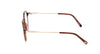 Tom Ford TF5875-B Blue Light Shiny Dark Brown #colour_shiny-dark-brown