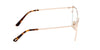 #colour_shiny-rose-gold