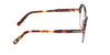 #colour_shiny-dark-brown