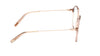 #colour_shiny-light-brown