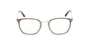 #colour_shiny-dark-brown