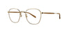 #colour_gold-sierra-tortoise