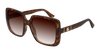 #colour_havana-brown-gradient