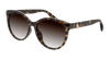 #colour_havana-brown-gradient