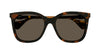 #colour_havana-brown