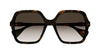 #colour_havana-brown-gradient