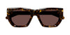 #colour_havana-brown