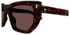 #colour_havana-brown