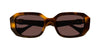 #colour_havana-brown