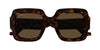 #colour_havana-brown