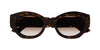 #colour_havana-brown-gradient